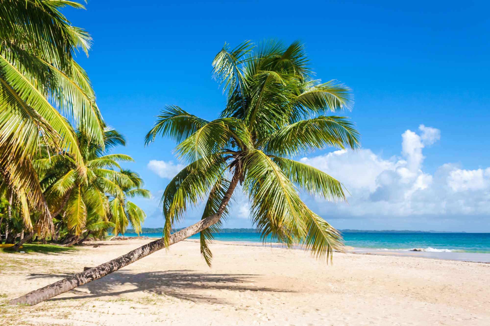 Tropical landscape from Sainte Marie Island
