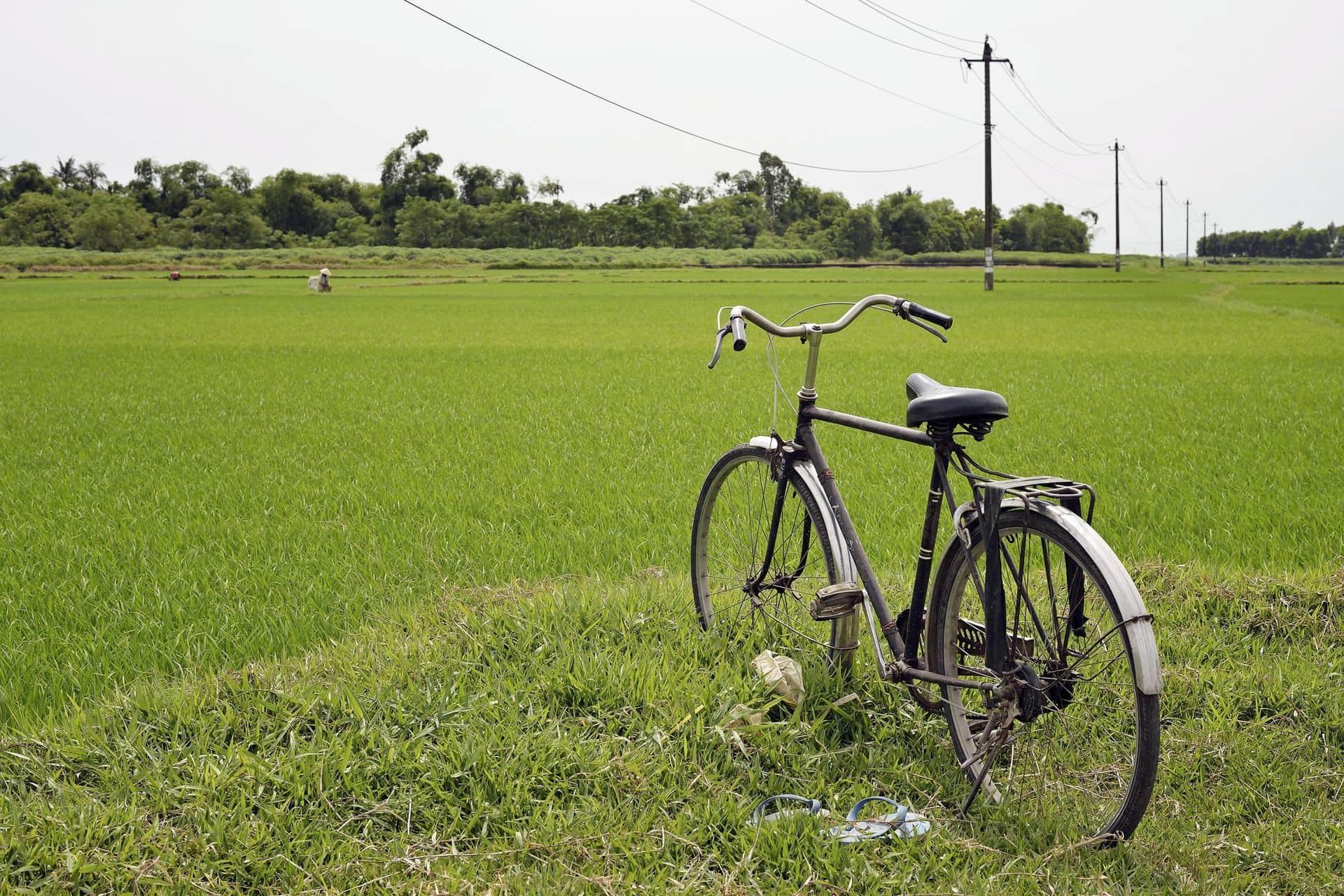 A bicycle standing in rice fields near Hue, Vietnam.
