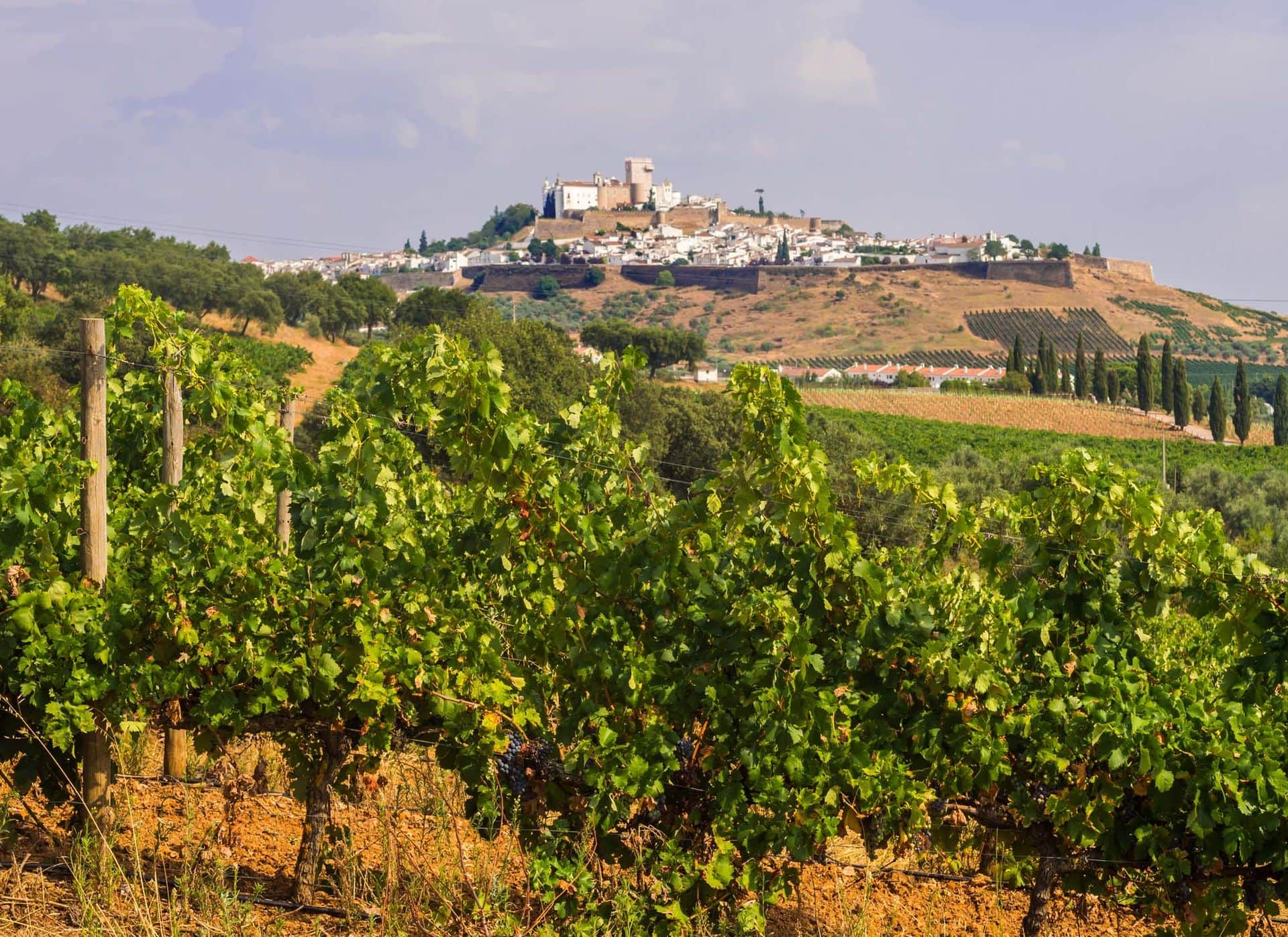 Cityscape of Estremoz, the White City in Alentejo region