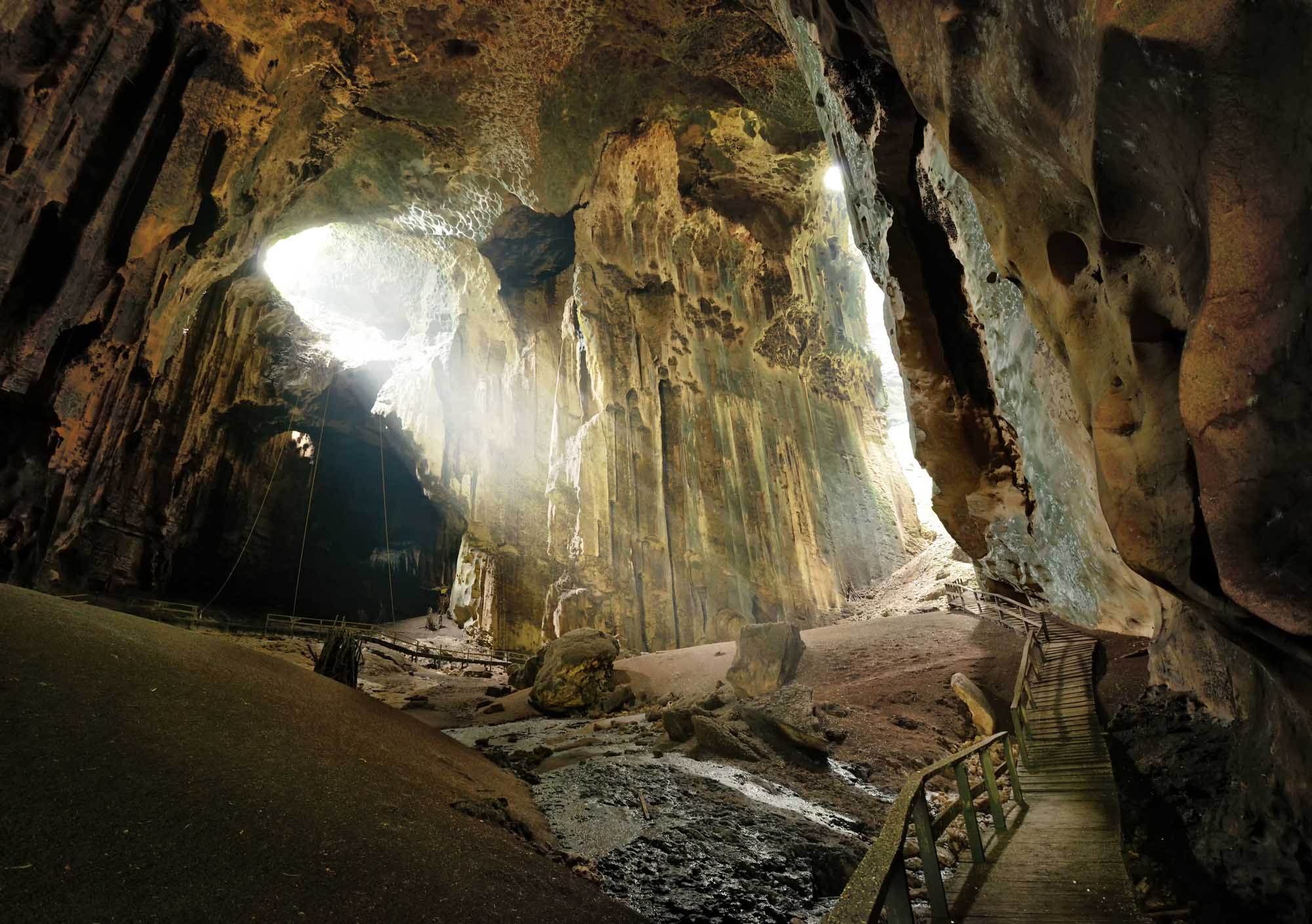 One of the most beautiful caves of Borneo Gomantong that they live in a lot of cockroaches and bats. Malaysia