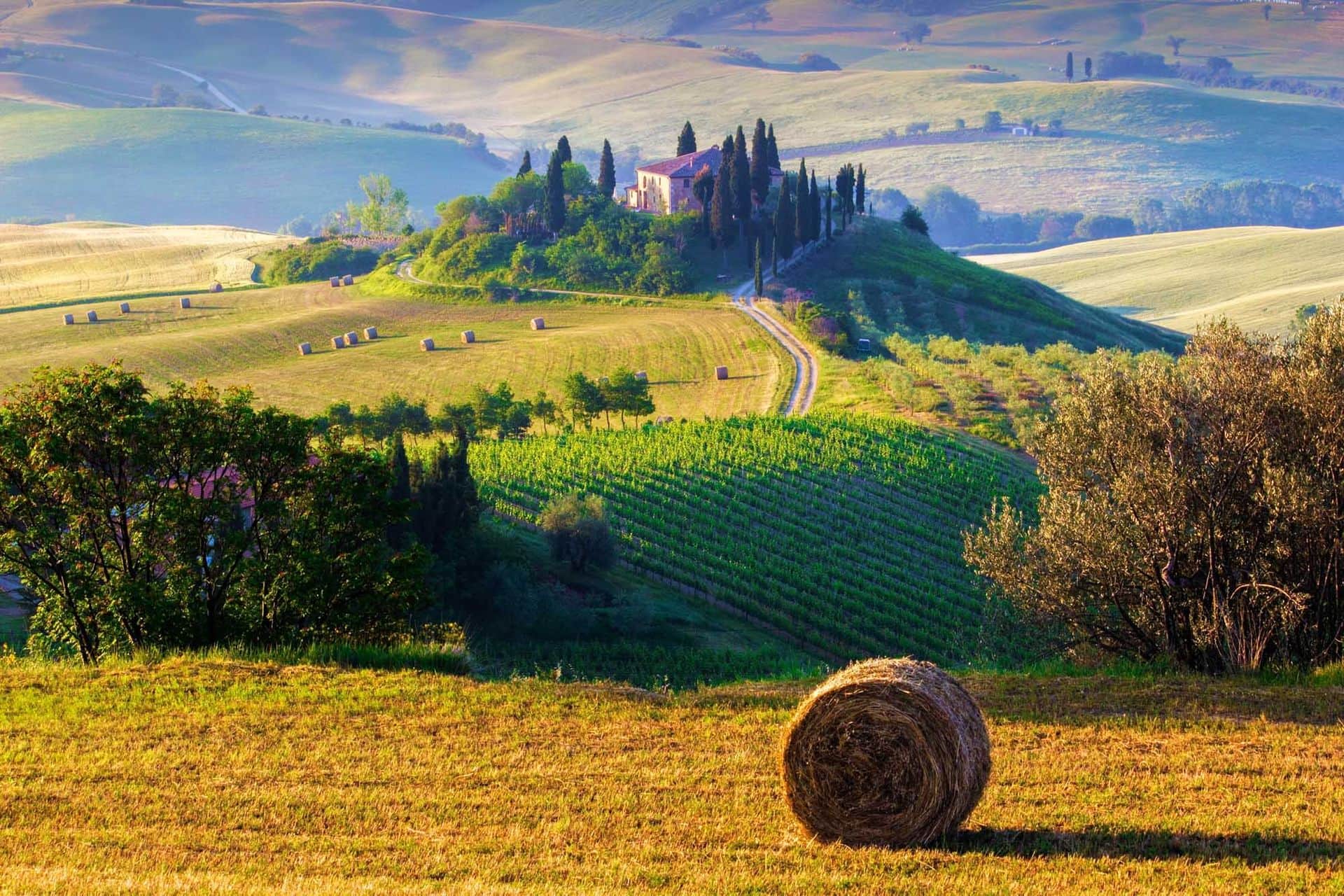 Tuscany, farmhouse and landscape on the hills of Val d'Orcia - Italy