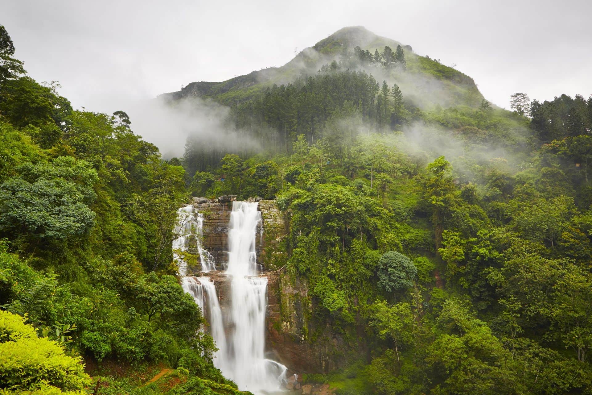 Waterfall in deep forest near Nuwara Eliya in Sri Lanka