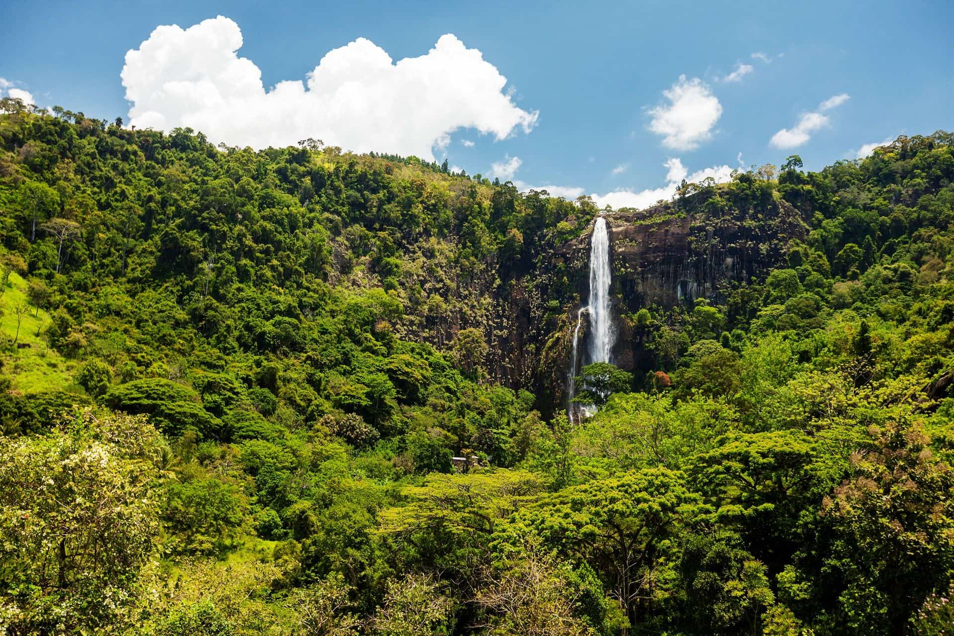Bambarakanda Ella, the tallest waterfall in Sri Lanka