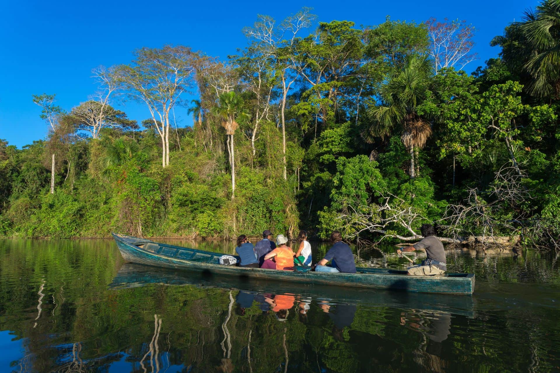 Discover the Amazon. Tambopata national park in Peru