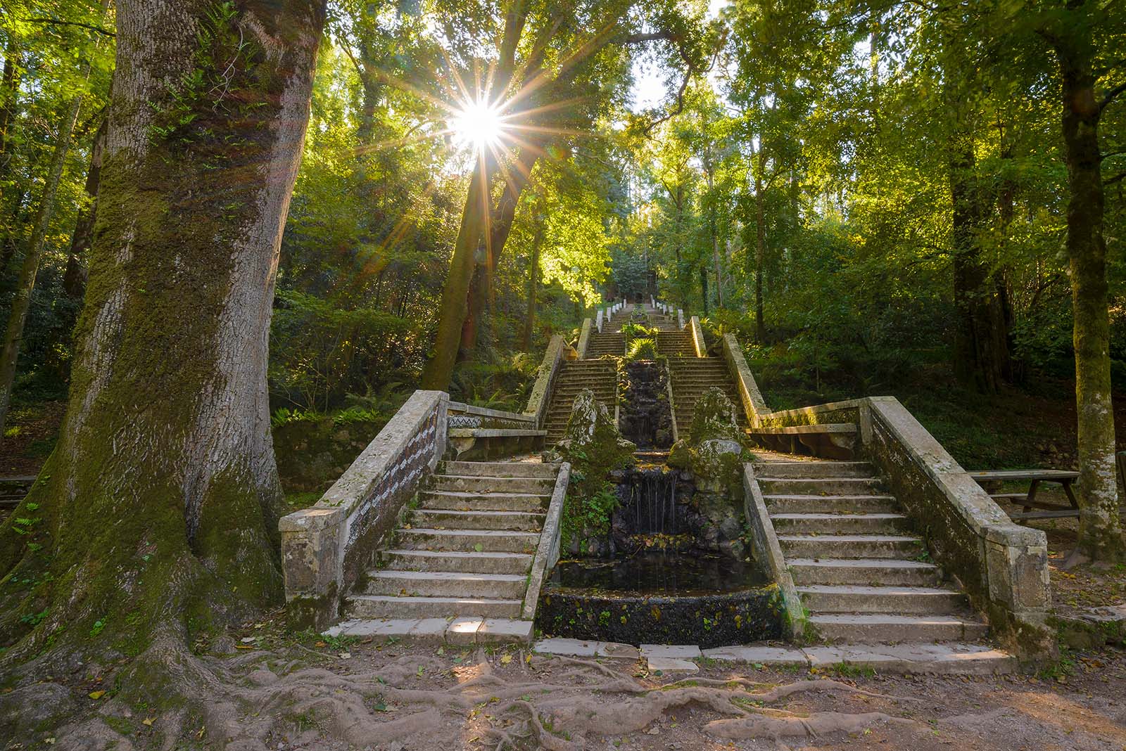 Fonte Fria It is the most famous fountain in Bucaco forest in Luso, Portugal © Shutterstock
