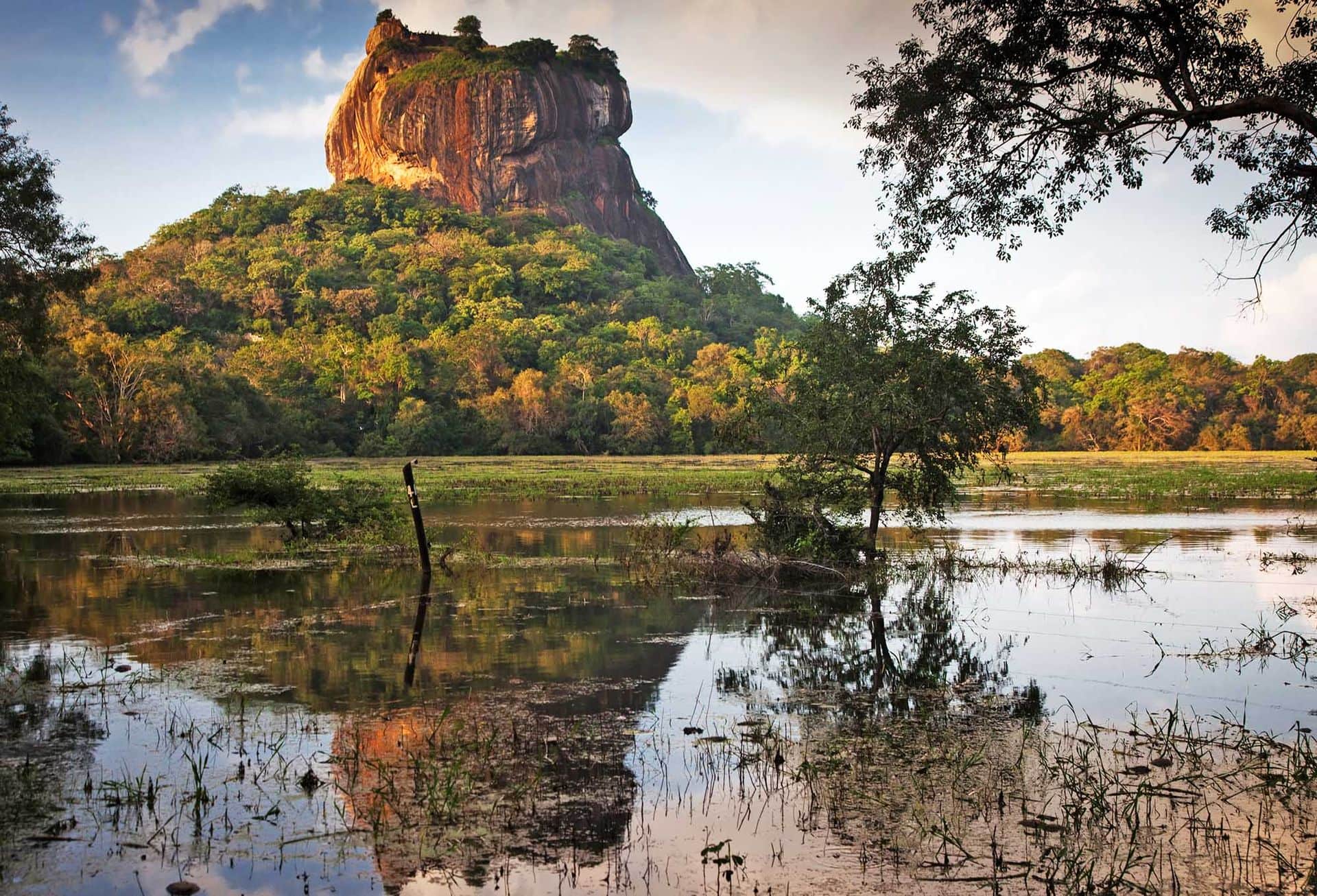 Sigiriya Lion Rock Fortress in Sri Lanka