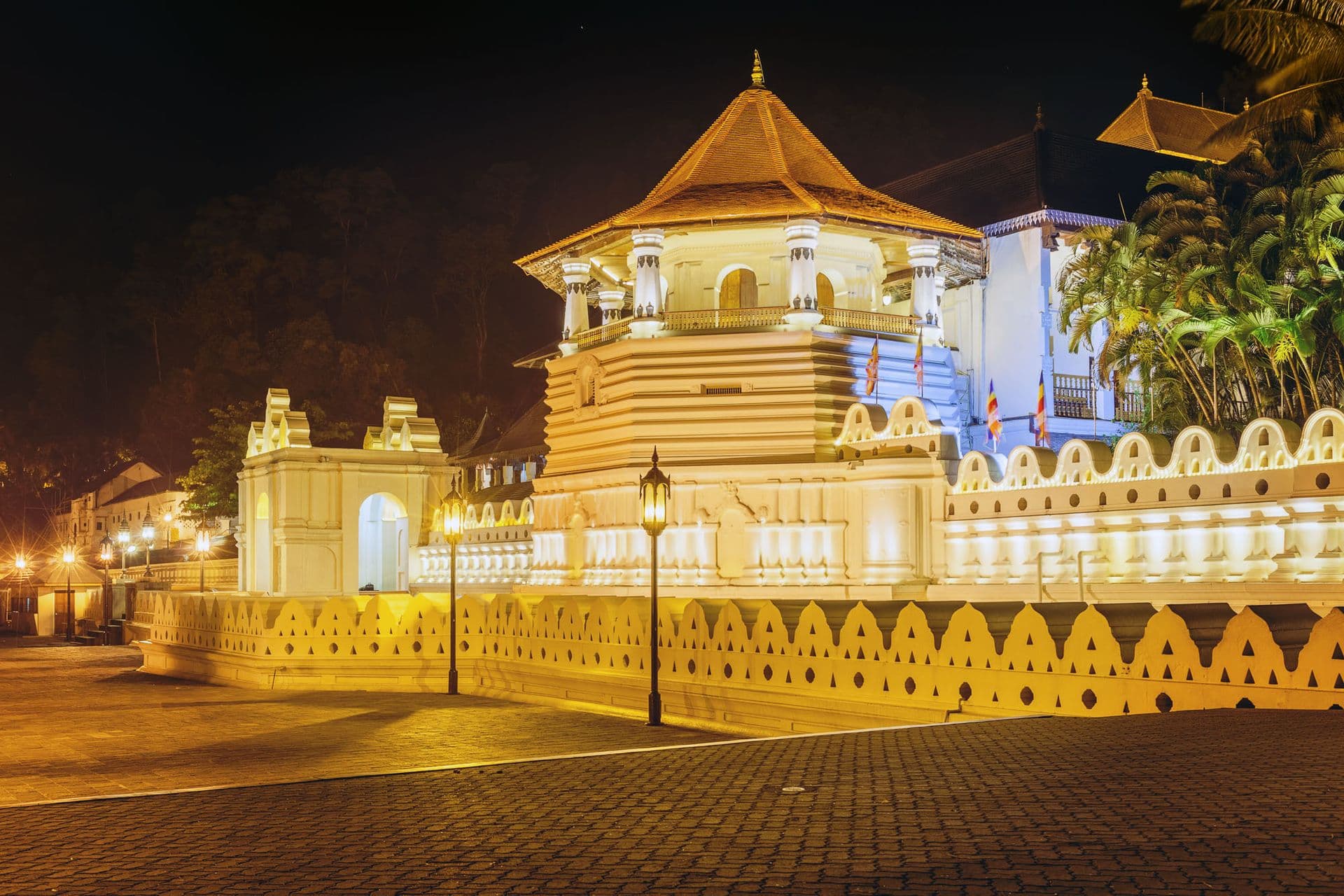 Night view of the Temple of the Buddha Tooth
