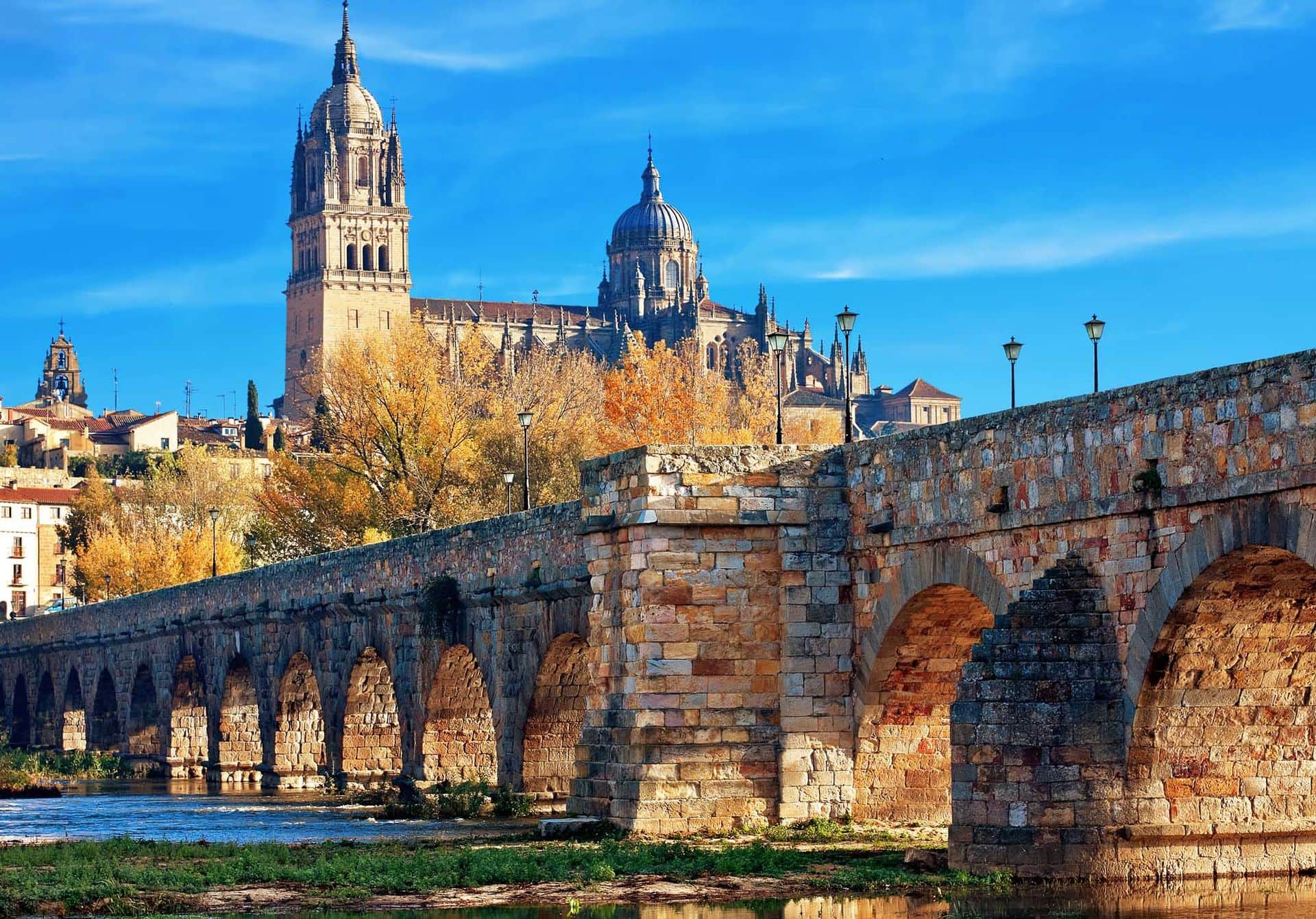 Salamanca Cathedral. Castile and Leon, Spain