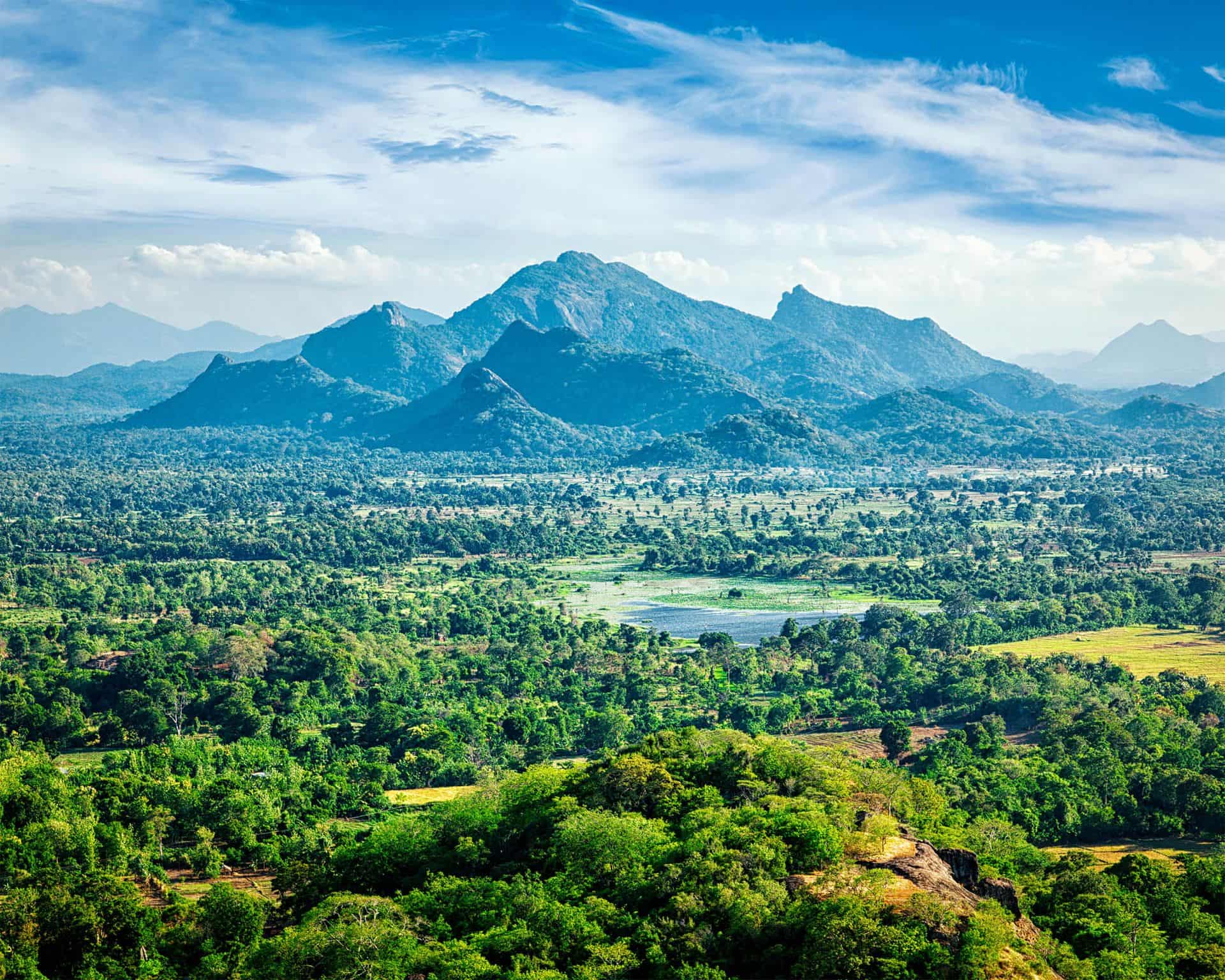 Sri Lankan landscape - view form Sigiriya rock