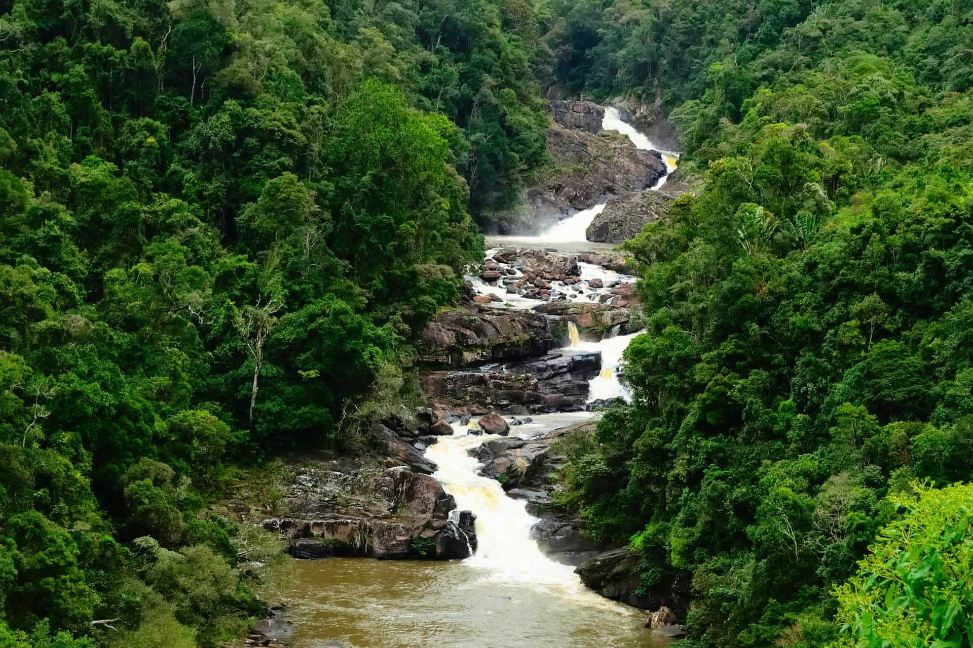 Evergreen tropical rainforest with rocky small waterfall crossing in the middle in Ranomafana national park Madagascar