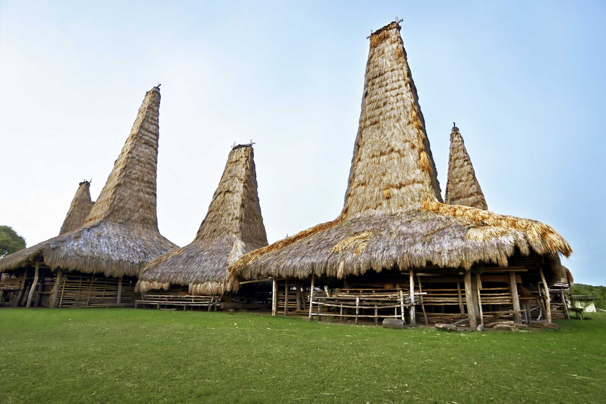 Image of traditional house of Sumba tribe