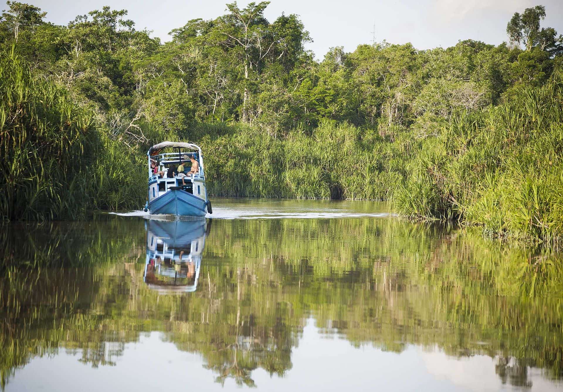 Local 'klotok' boat on Sekonyer River into Tanjung Puting Jungle, Borneo, Indonesia