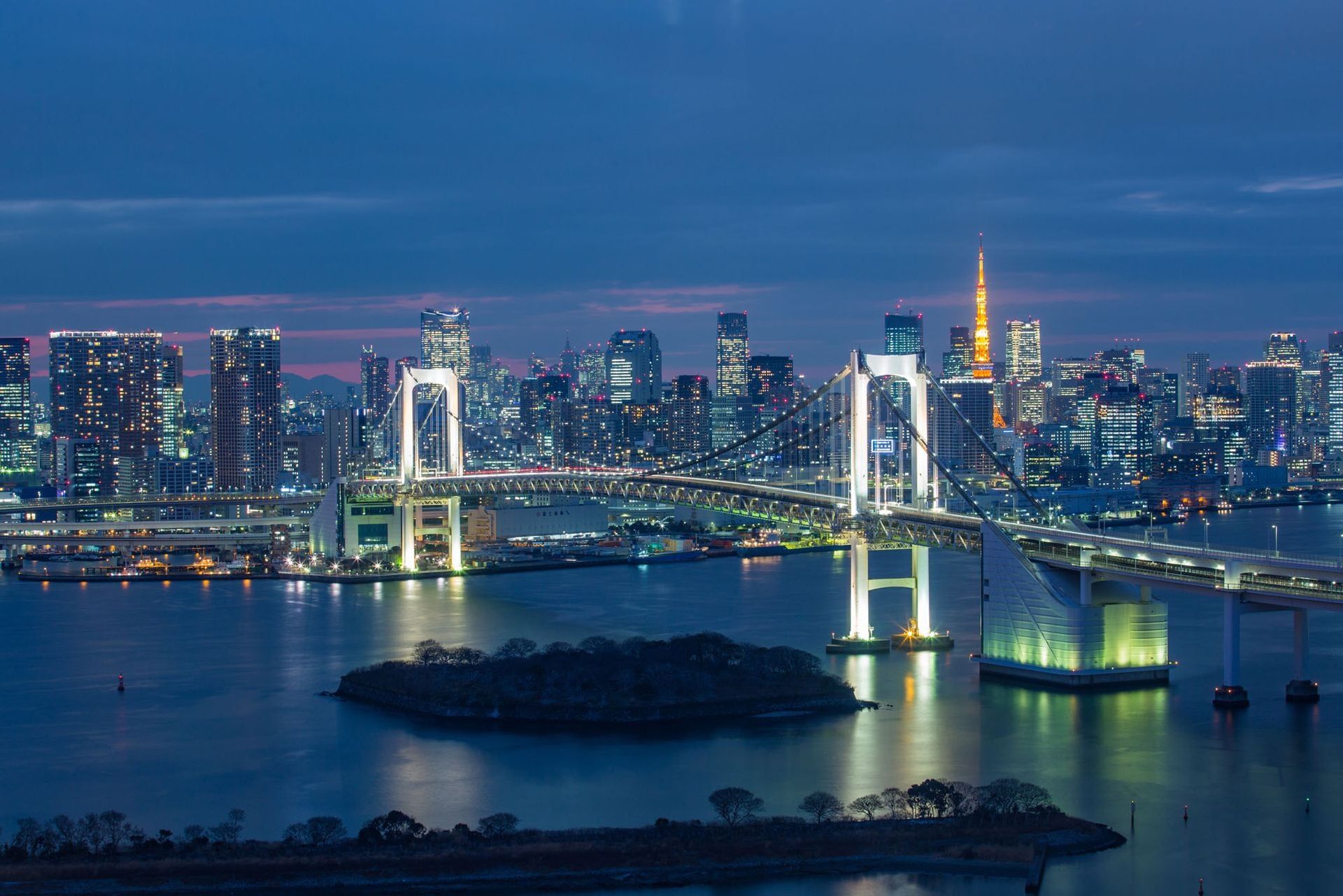 Japan skyline with Rainbow Bridge and Tokyo Tower. Photo: dreamstory/Shutterstock