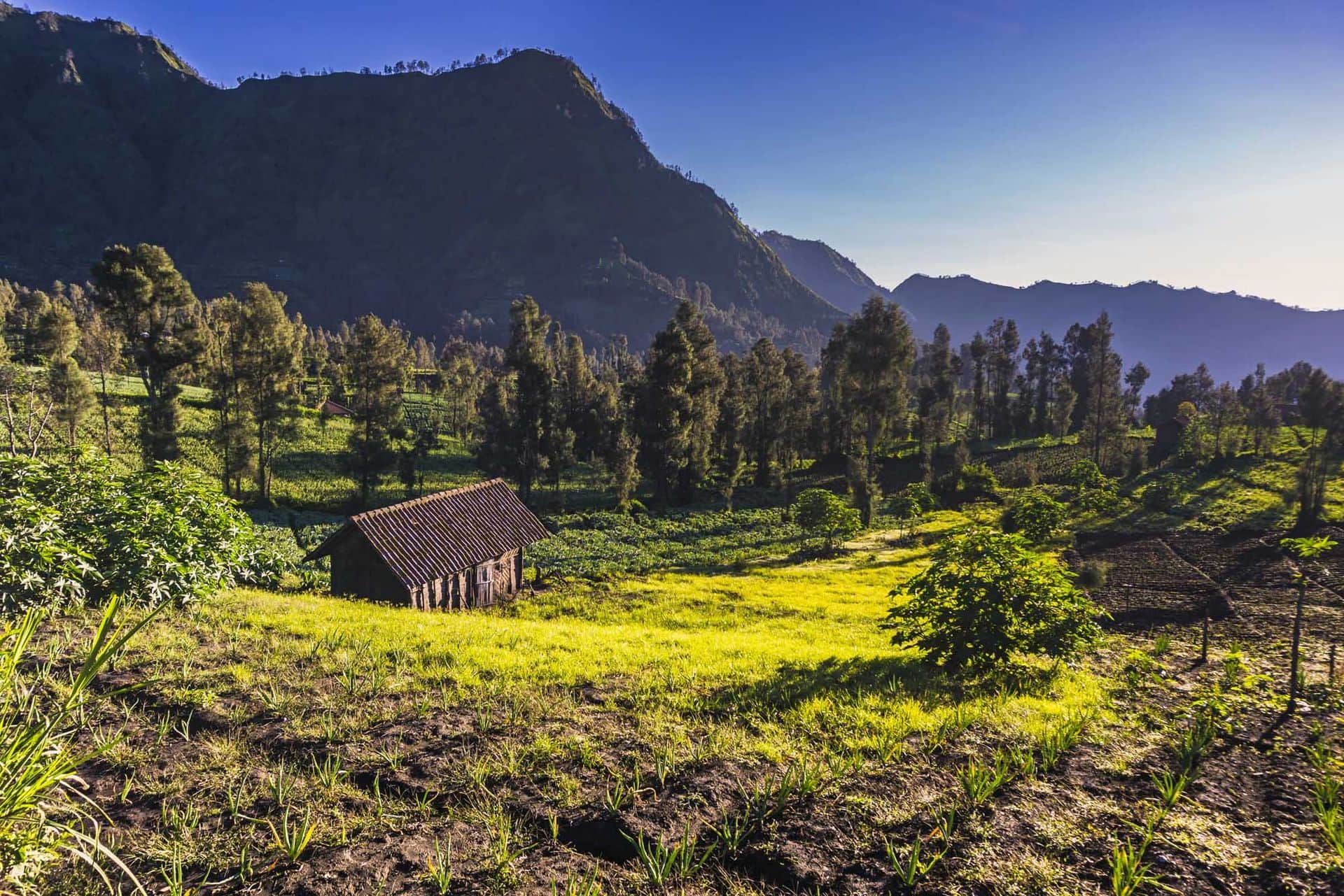 Desa Ngadisari East Java, Mount Bromo Indonesia.