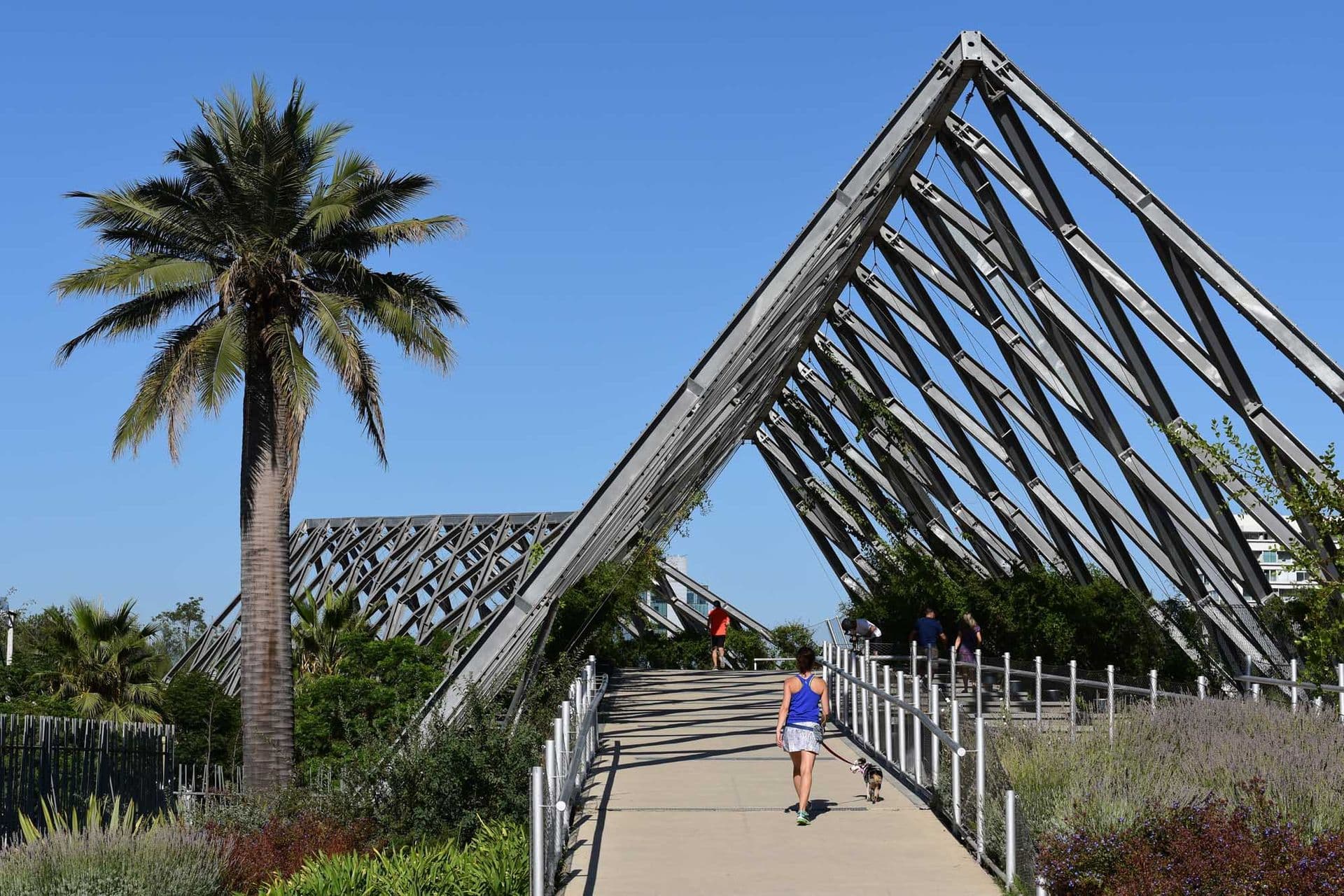 Bridge in the park: Pedestrian bridge uniting the two sectors of the beautiful Araucanian Park. Green lung of Santiago de Chile very visited by the people to walk and to do sports.