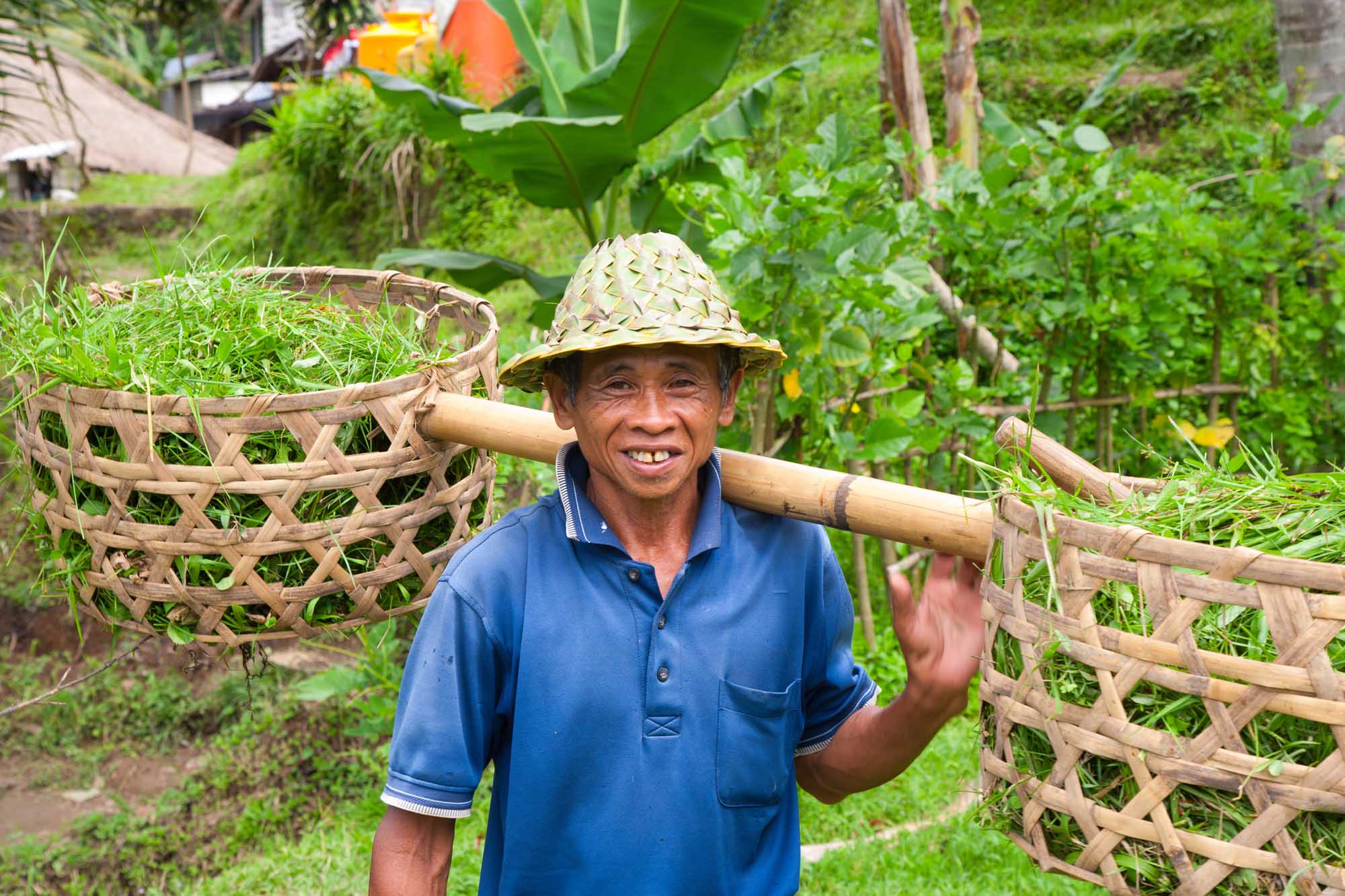 Balinese farmer