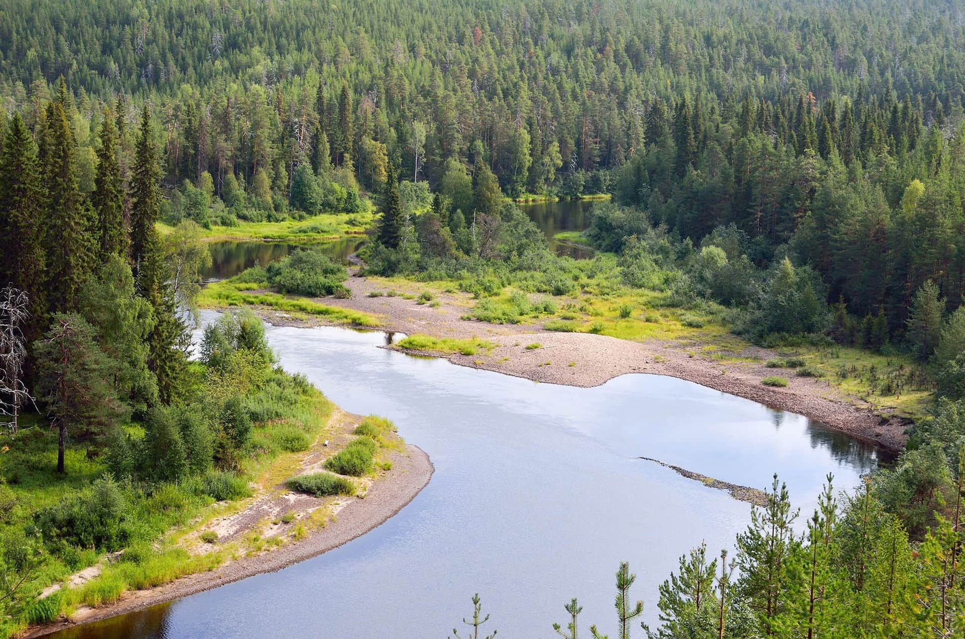 View from the hill on river and wild forest. Northern Finland.