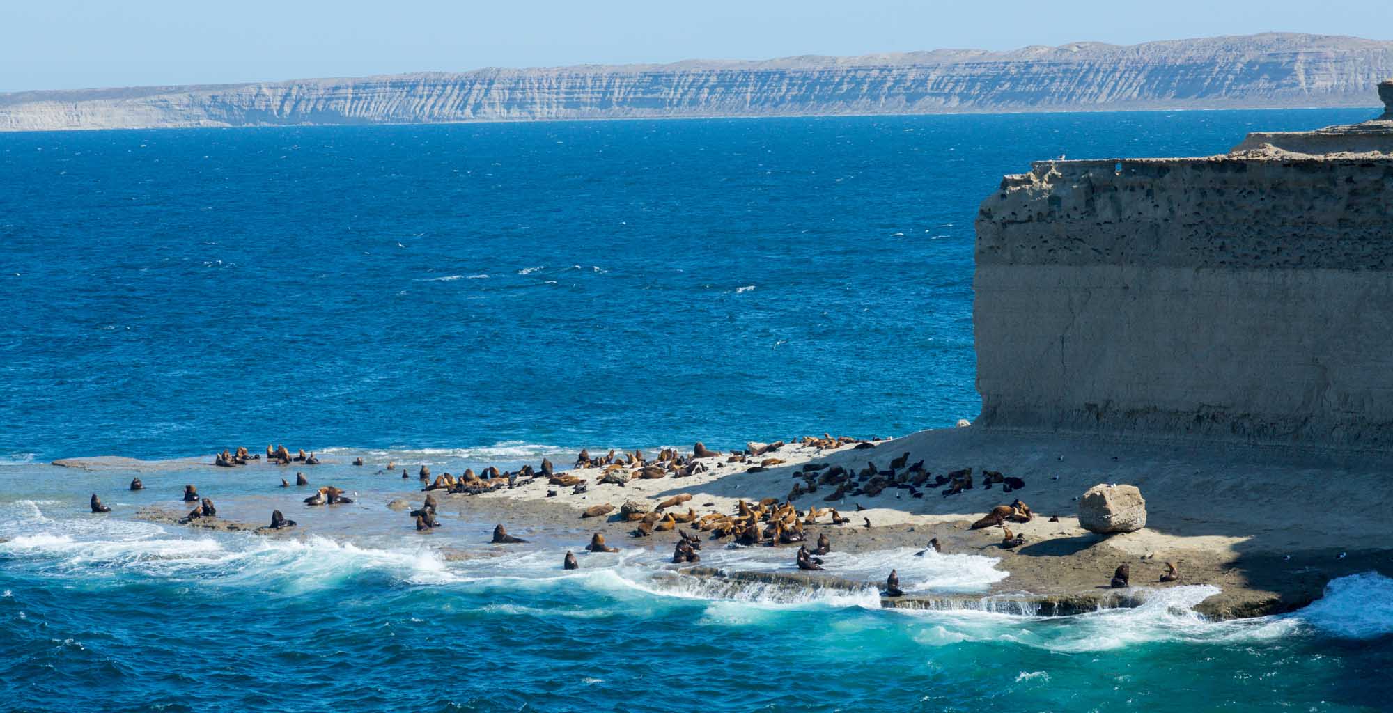 Rocky beach of peninsula of Valdes, rookery of fur seals