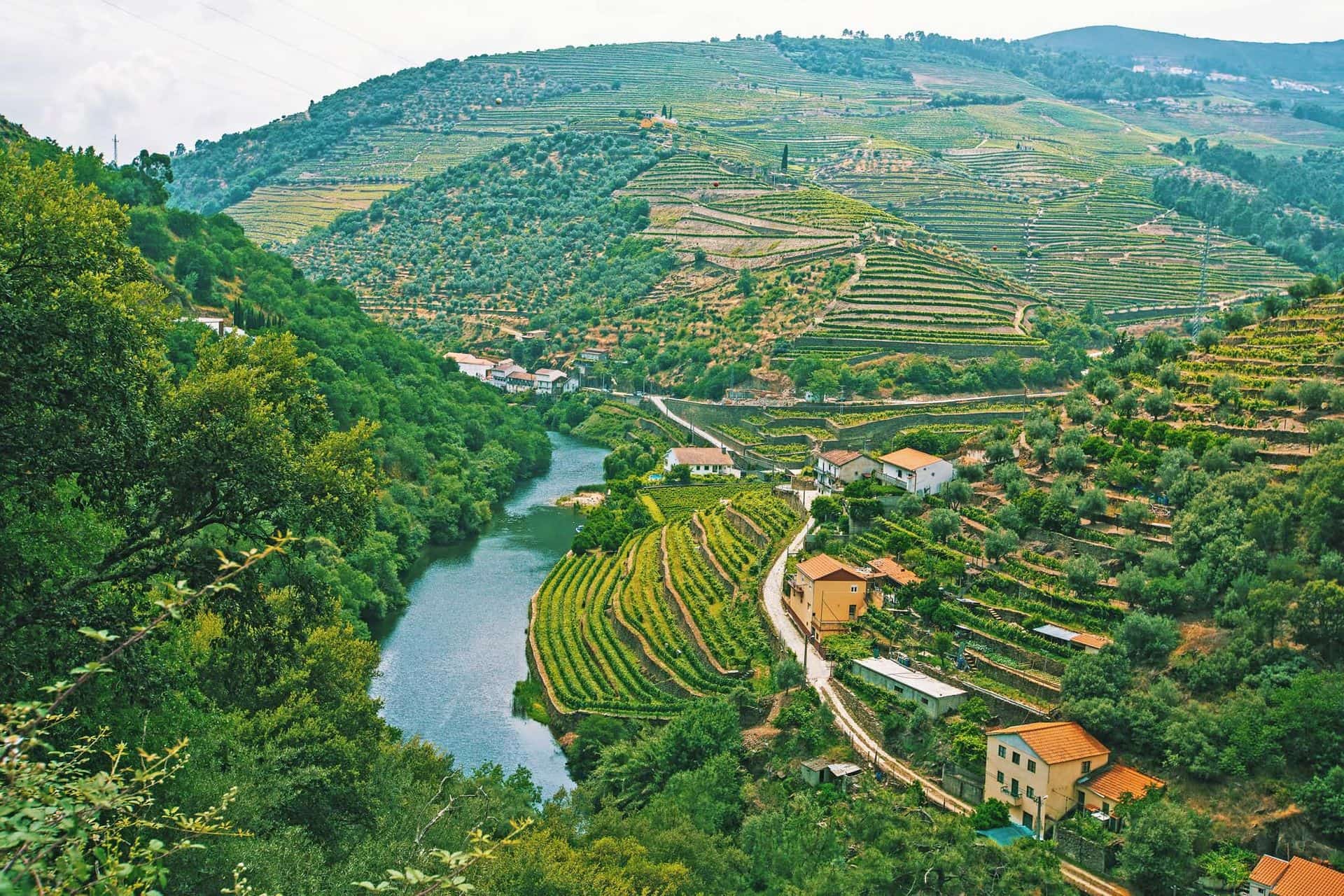 Douro Valley, Portugal. Top view of river, and the vineyards are on a hills.
