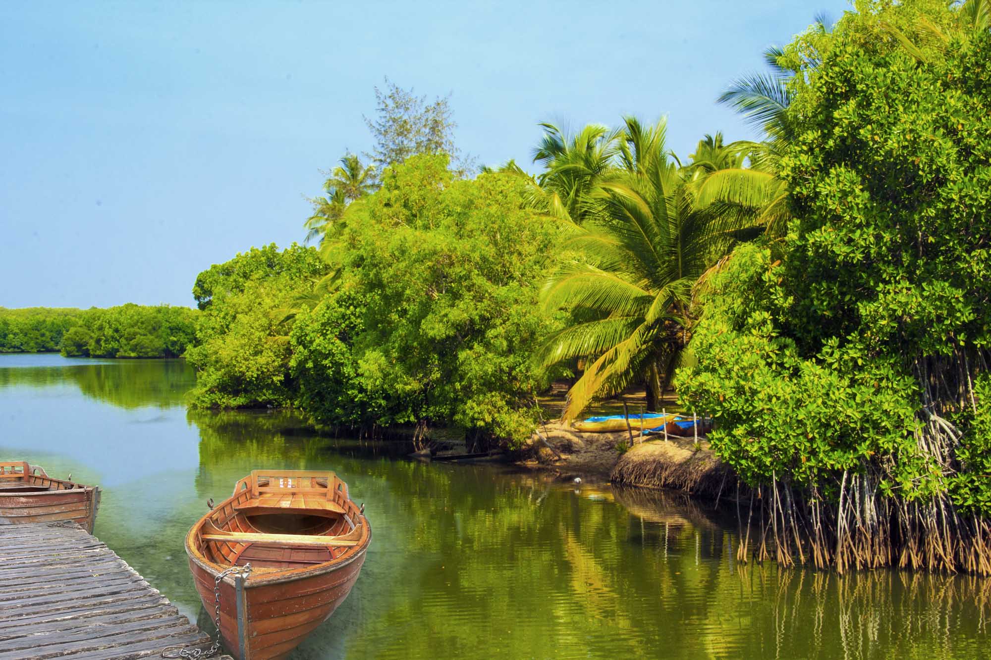 Beautiful view of Lake Koggala, Sri Lanka, on a sunny, clear day