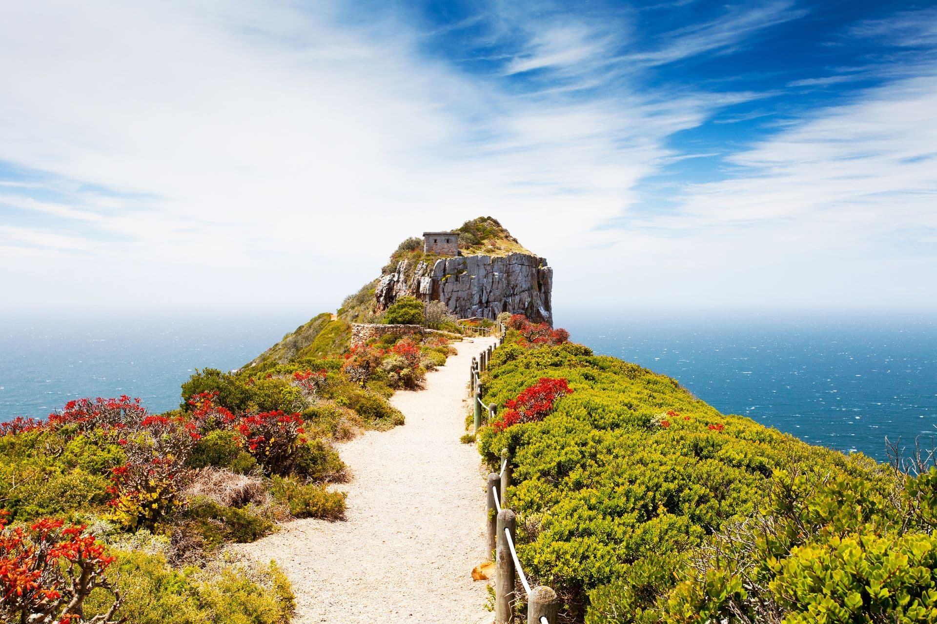 cape point nature reserve, south africa