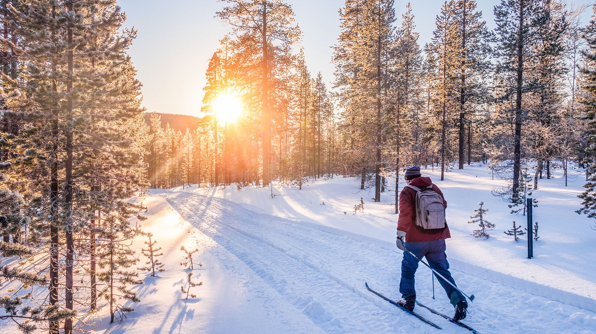 Skiing on a track in winter Finland © canadastock/Shutterstock