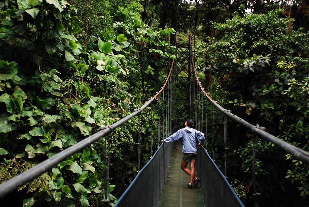 Hanging Bridges
