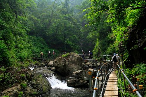 world-natural-heritage