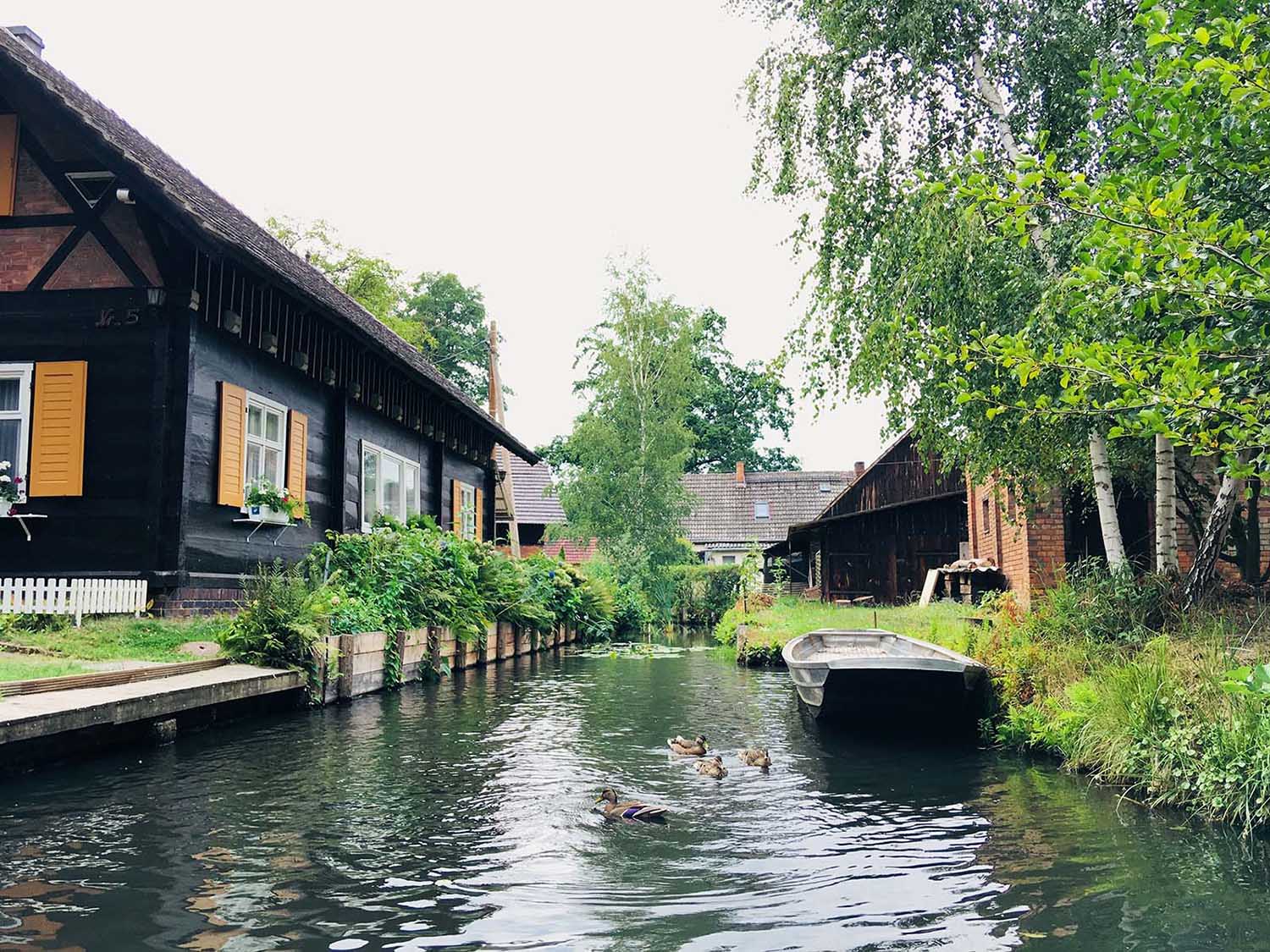 Spreewald Biosphere Reserve in summer (Lübbenau, Germany) © Shutterstock