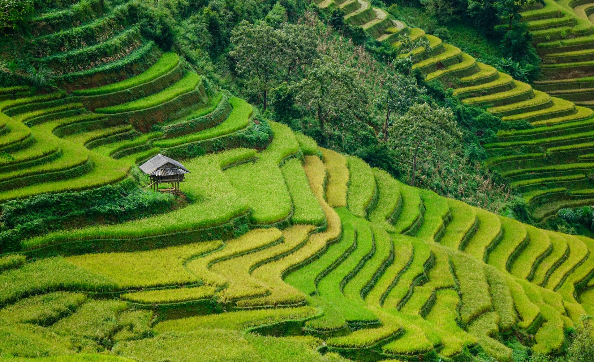 The 10 most beautiful places in Vietnam – as voted by you