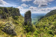 The Pinnacle Rock, a tower-like freestanding quartzite buttress which rises 30 m above the dense indigenous forest in Mpumalanga, South Africa © Shutterstock
