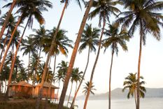 Goa In January: Weather & Travel Tips | Rough Guides