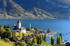 View of lake Thun in Switzerland © 9MOT/Shutterstock
