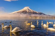 Fuji Five Lakes