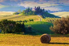 Tuscany, farmhouse and landscape on the hills of Val d'Orcia - Italy