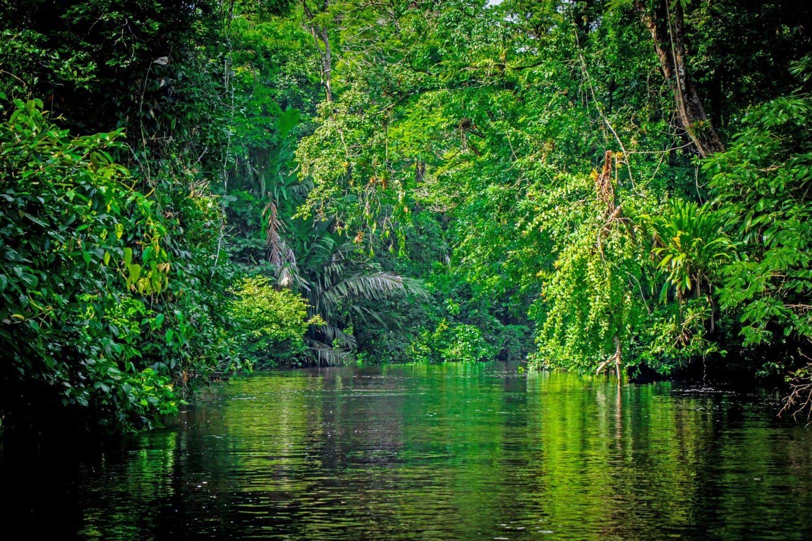 Tortuguero, Costa Rica