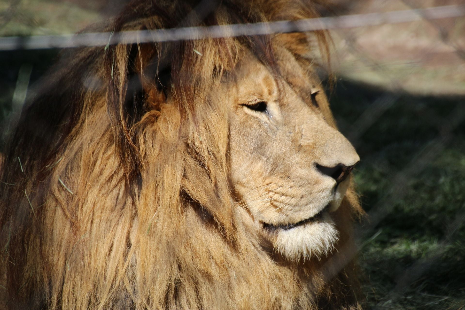 Jukani Wildlife Sanctuary