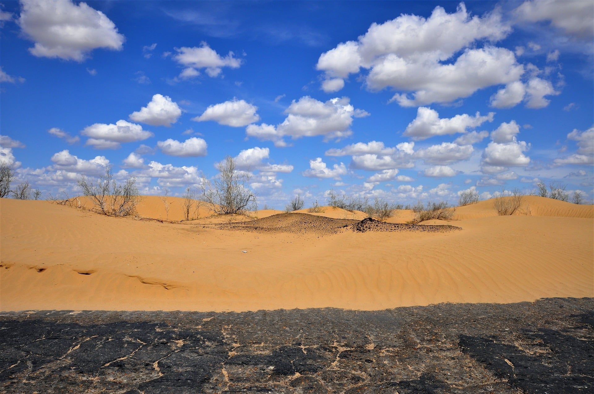 Desert