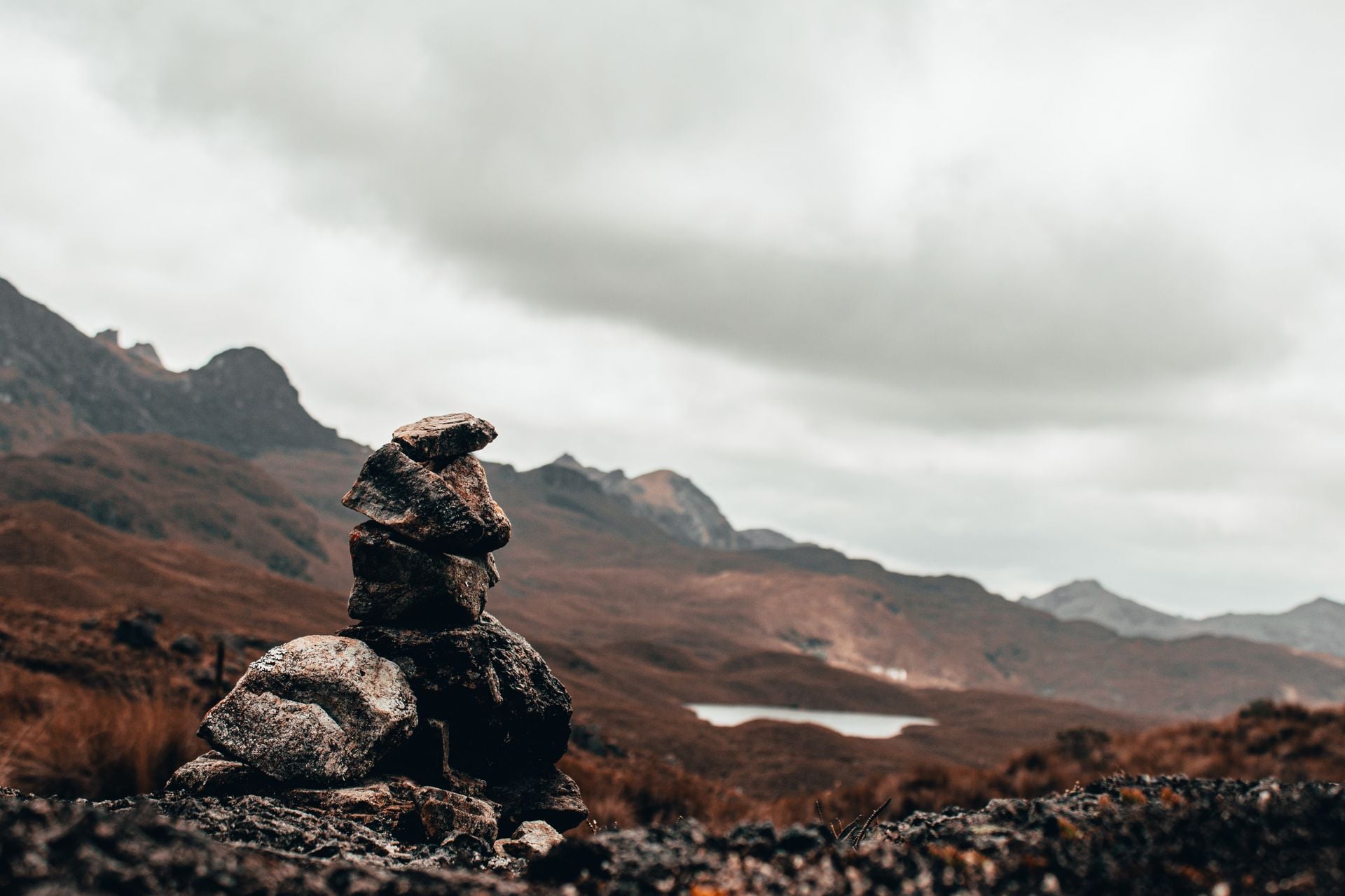 El Cajas National Park