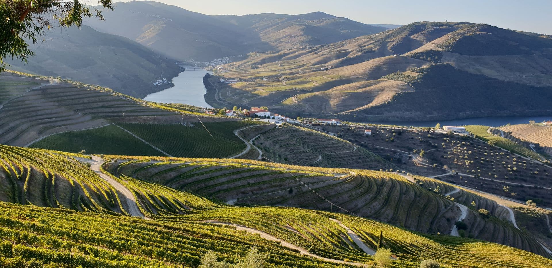 https://pixabay.com/photos/vineyard-terraces-douro-valley-5649128/