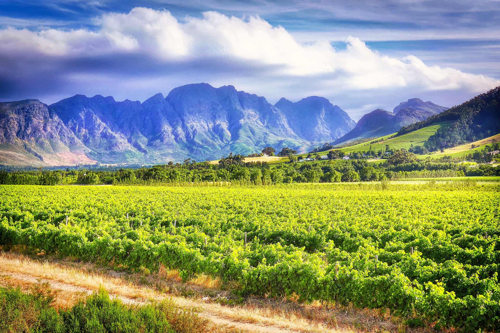 stellenbosch