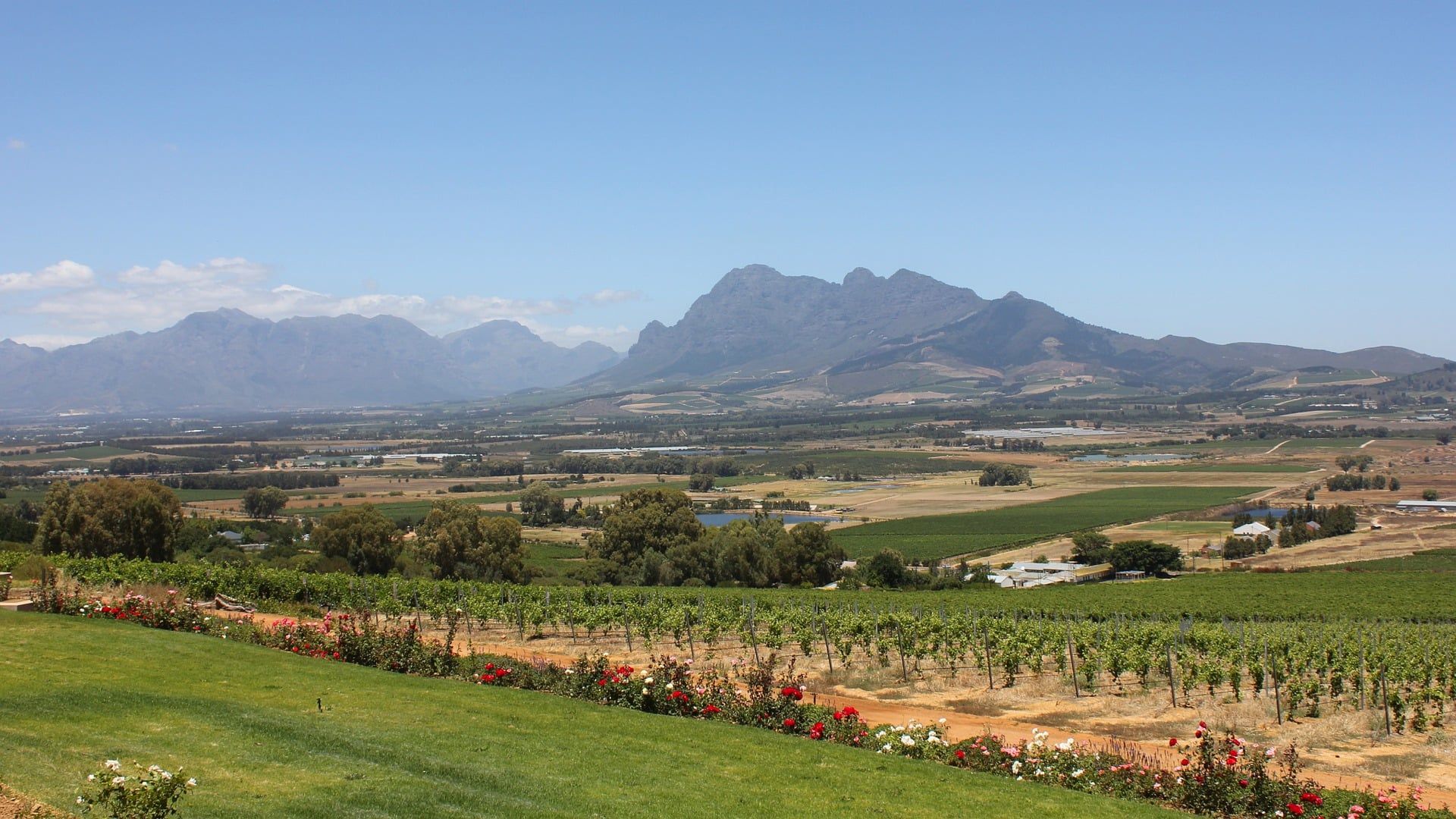 paarl
