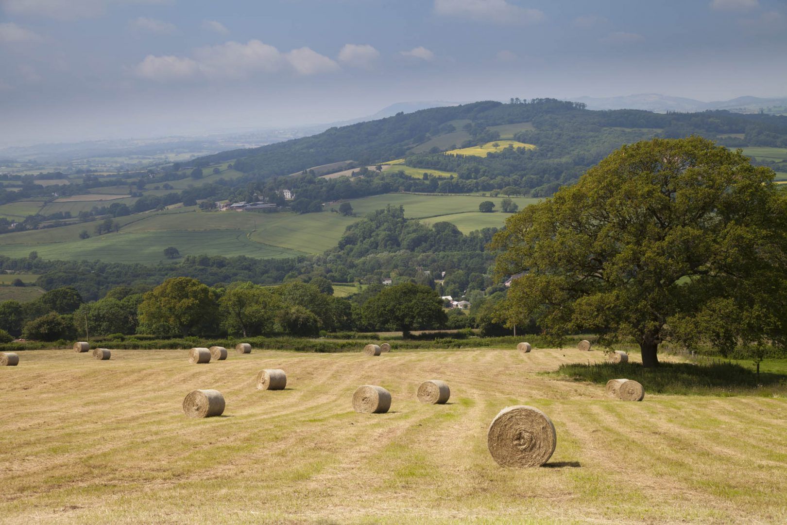 Late summer in Mid Wales