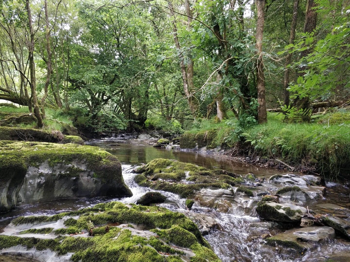 "The Exciting Place"