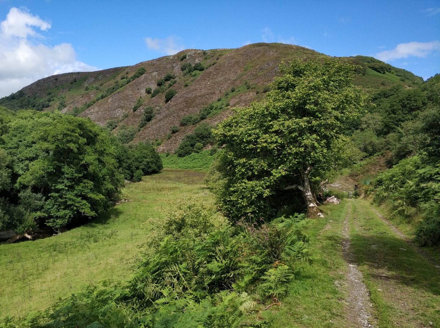 The start of "The Gorge Walk"