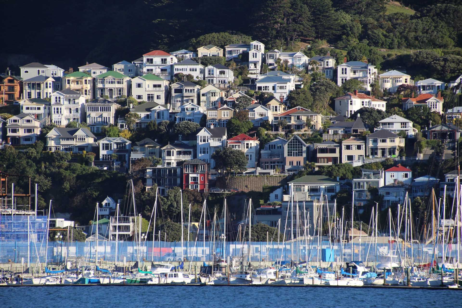 Wellington, New Zealand © Tom Zahnas/Shutterstock