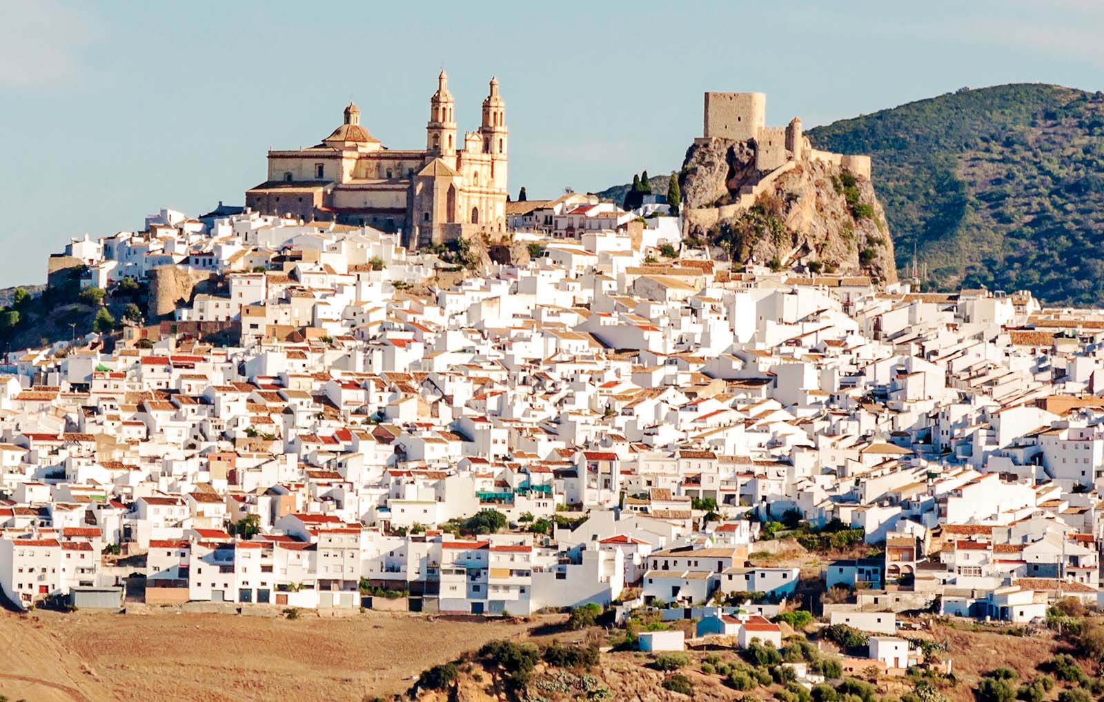 White town of Olvera in Andalusia © Shutterstock