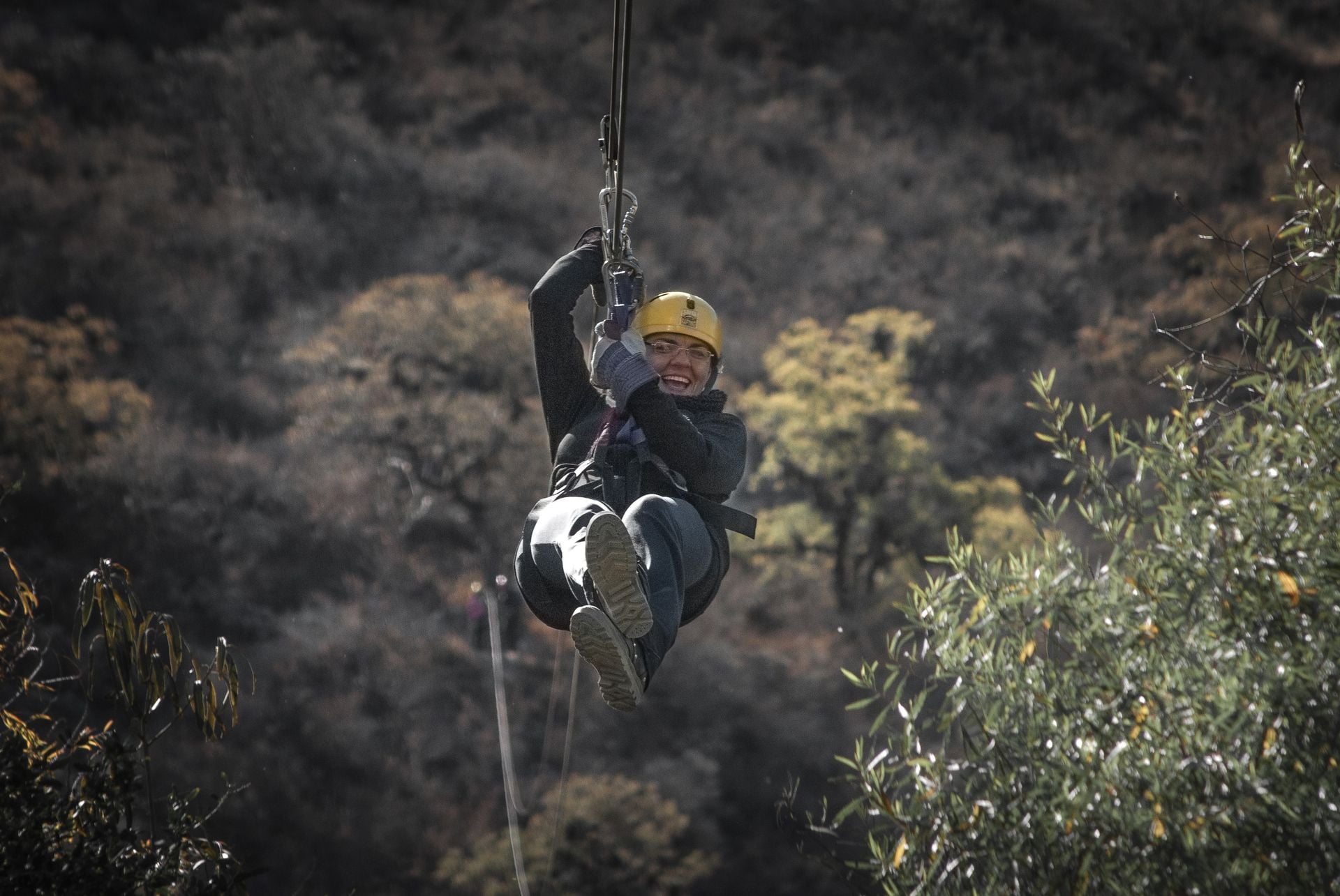 Zipline